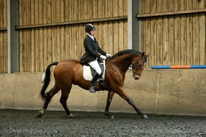 Isis Dressage Crown Farm Show 29th April 2012